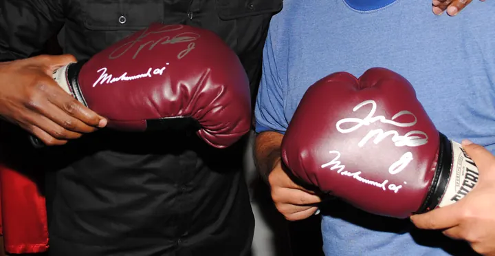 Two boxing gloves autographed by Floyd Mayweather Jr.